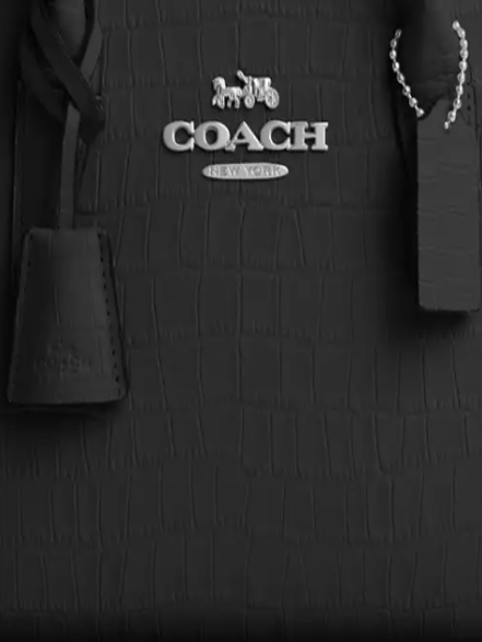 Andrea Carryall Bag          I     COACH