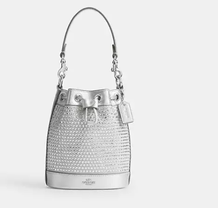 Mini Bucket Bag          I           COACH