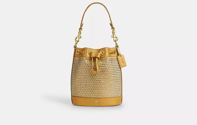 Mini Bucket Bag          I           COACH