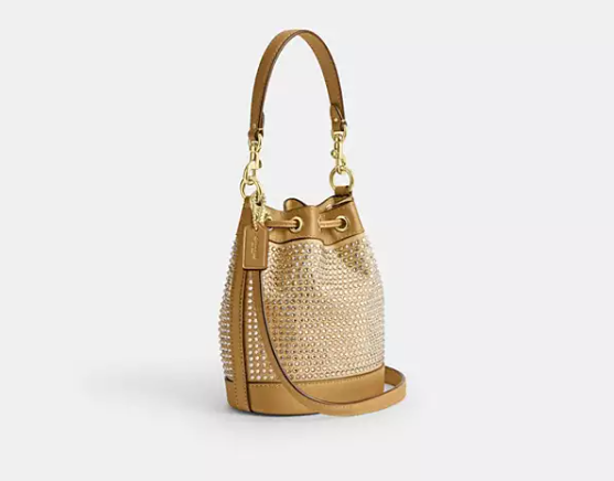 Mini Bucket Bag          I           COACH