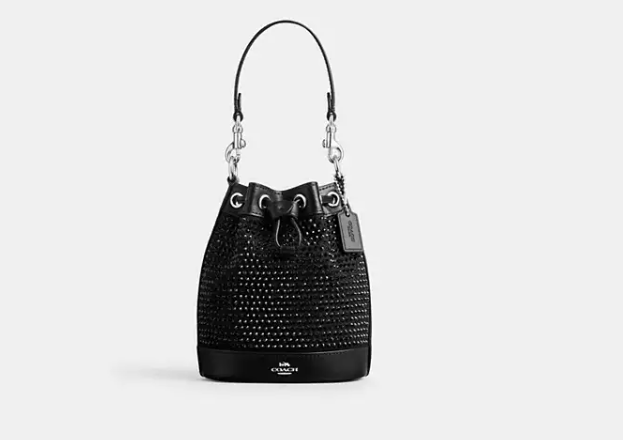 Mini Bucket Bag          I           COACH