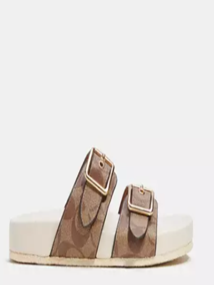 Allanah Sandal in Signature Canvas       I     COACH